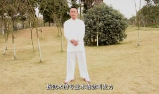 杨氏42式邱慧芳太极拳演示者谁 杨氏太极拳42式